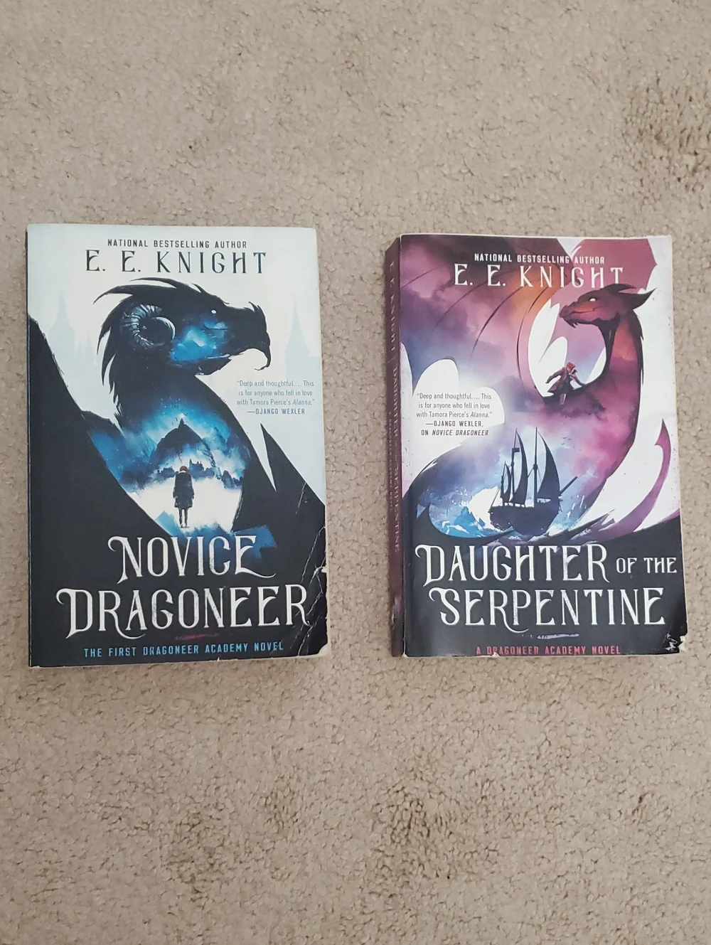 Dragoneer Academy Novels
